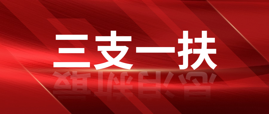 2022年上海市高校畢業生“三支一扶”計劃招募公告